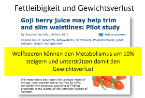 Goji Beeren Stoffwechsel Gewichtsreduktion