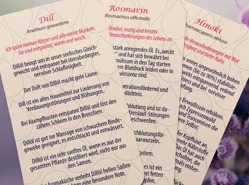 Einzelkarten-WP-min